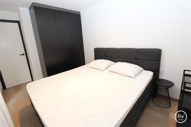 Appartement Spacieux A Knokke Exterior photo